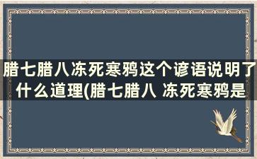 腊七腊八冻死寒鸦这个谚语说明了什么道理(腊七腊八 冻死寒鸦是什么意思)